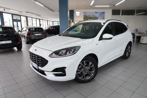 Ford Kuga 1.5 EcoBlue 120 CV aut. ST-Line