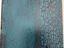 Immagine 19