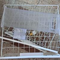 Ricambi Frigorifero Whirpool