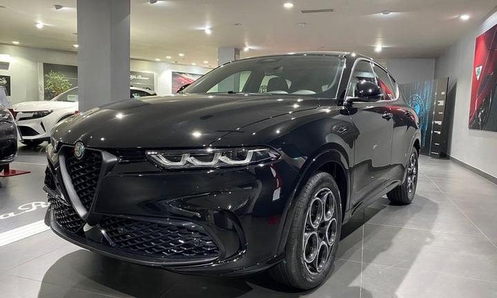 Alfa Romeo Tonale 1.6 diesel 130 CV TCT6 Spri...