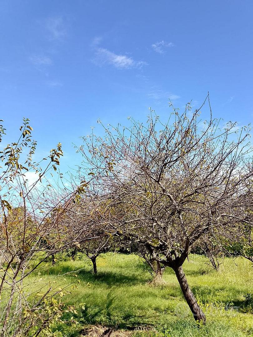 TERRENO A SAN GIORGIO A CREMANO - Vista 2