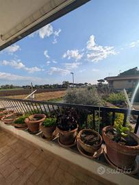 Appartamento di 70 m² con 4 locali a Tarquinia