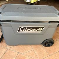 Ghiaccia coleman con ruote