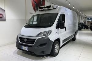 FIAT DUCATO COIBENTATO FRIGO -20 2017
