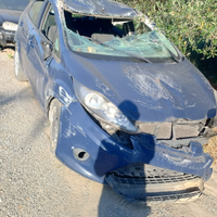 Ford Fiesta 2010