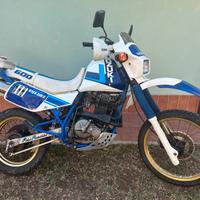 Suzuki DR 600 Djebel