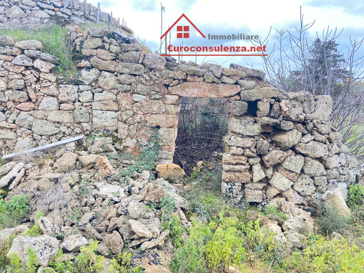 Grande terreno con pajiara - Vista 5