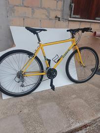 bicicletta ciocc