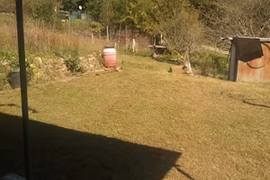 Terreno agricolo Sant'Olcese vendita privato