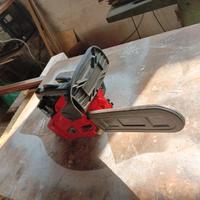 motosega da potatura 