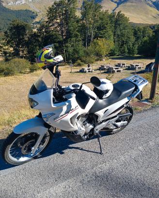 transalp 650