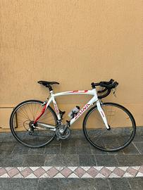 Bici da corsa Zaina in carbonio