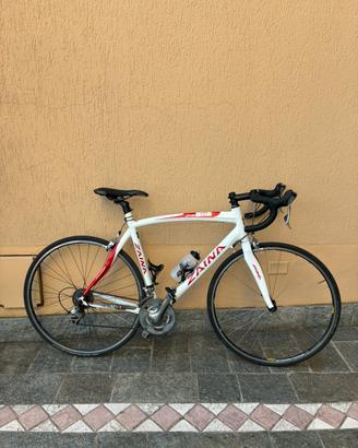 Bici da corsa Zaina in carbonio