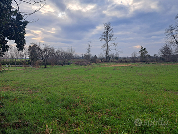 Terreno Area fabbricabile