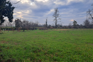 Terreno Area fabbricabile