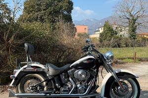 Harley davidson softail deluxe 2007