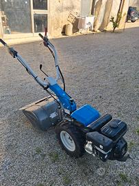 Zappatrice Bertolini