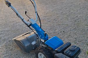 Zappatrice Bertolini