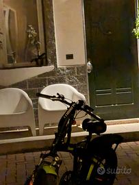 Bici elettrica zeus