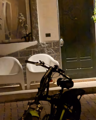 Bici elettrica zeus