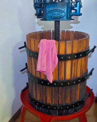 attrezzatura da cantina per fare il vino 