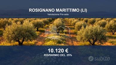 Immobile in asta di 6830 m² a Rosignano Marittimo