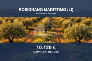 Immobile in asta di 6830 m² a Rosignano Marittimo