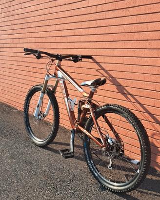 Trek Fuel EX 8 2010