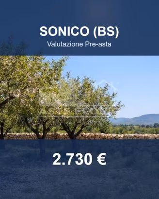 Immobile in asta di 6990 m² a Sonico