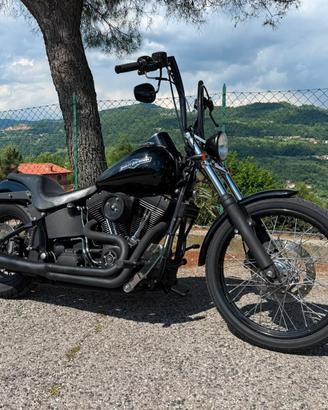 Harley-davidson 1450 Softail Night Train