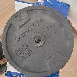 dischi da 20kg