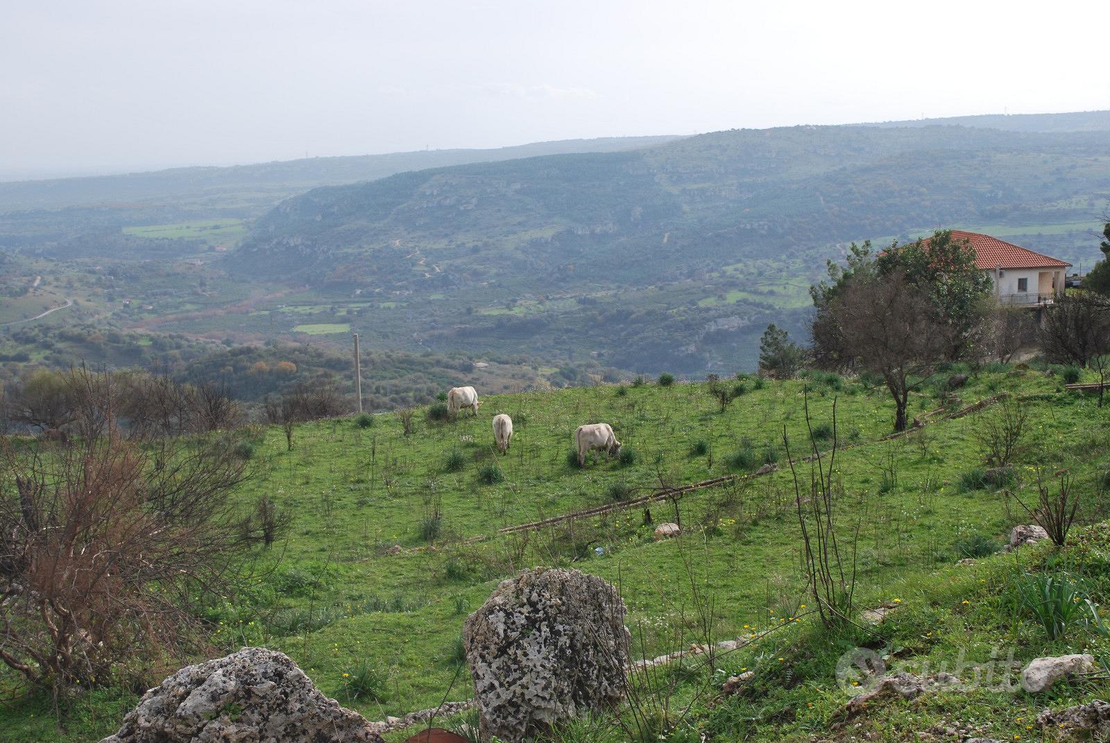 Terreno agricolo - Altro