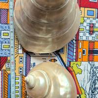 2 Conchiglie madreperla 