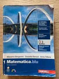 Libro “1 Matematica blu terza edizione”