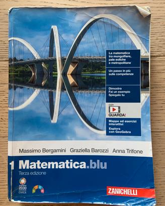 Libro “1 Matematica blu terza edizione”