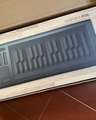 Roli Seaboard Rise 25 + Flip Case Originale