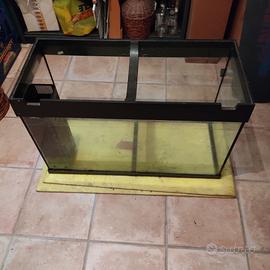 Acquario 120 litri