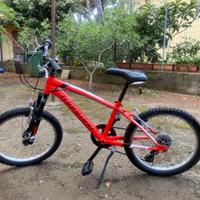 bicicletta Montana per bambino