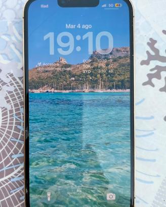 iPhone 13 Pro 256 GB (graffi sono della pellicola)