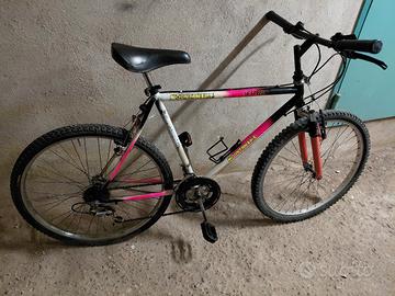 bicicletta 