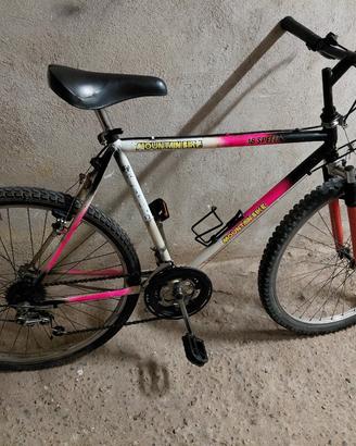 bicicletta 