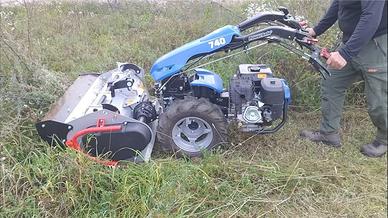 Sgomberi,Giardini e Piccola Falegnameria-Rotaliana