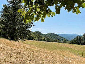 Cascinale con terreno ed attrezzature