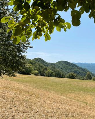 Cascinale con terreno ed attrezzature