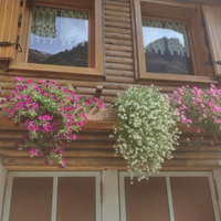 Casa vacanze val di rhemes