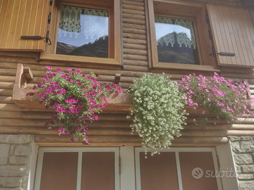 Casa vacanze val di rhemes