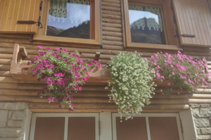 Casa vacanze val di rhemes