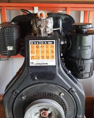 Motore Lombardini 3LD 510