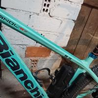 Bianchi Methanol  SX 9.3