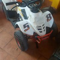Quad con retromarcia a benzina